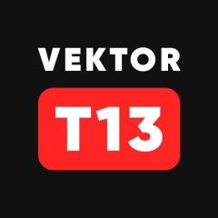 Vektor T13