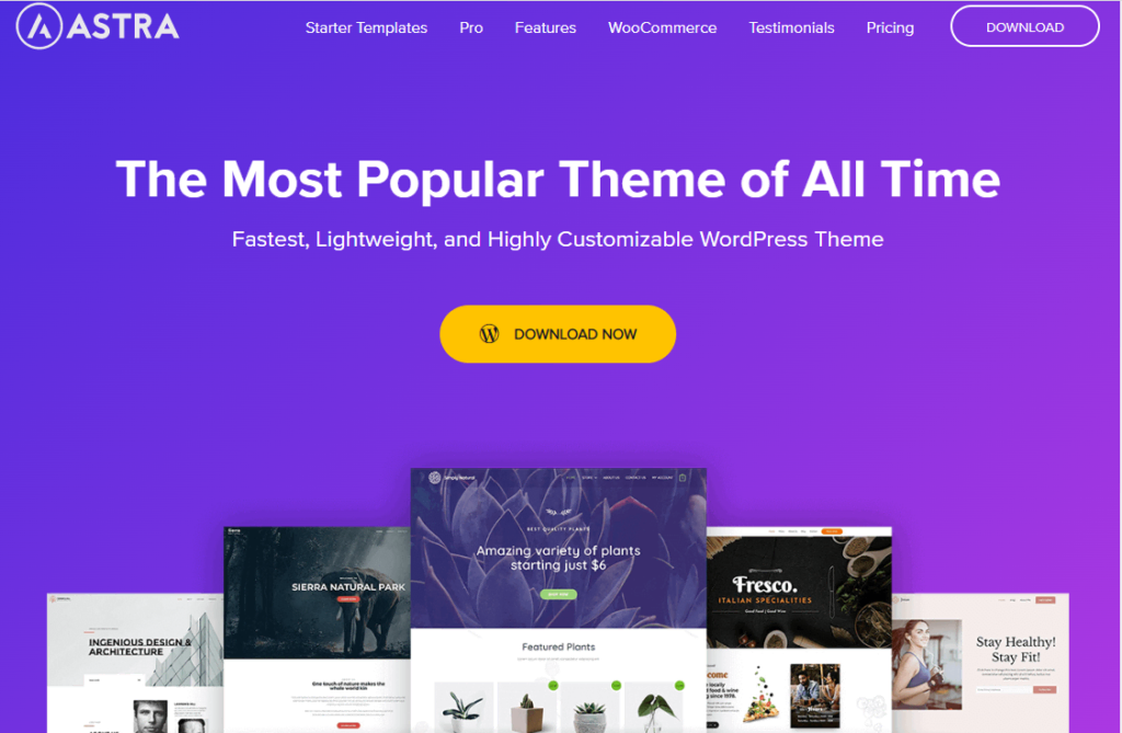 WP Astra Theme