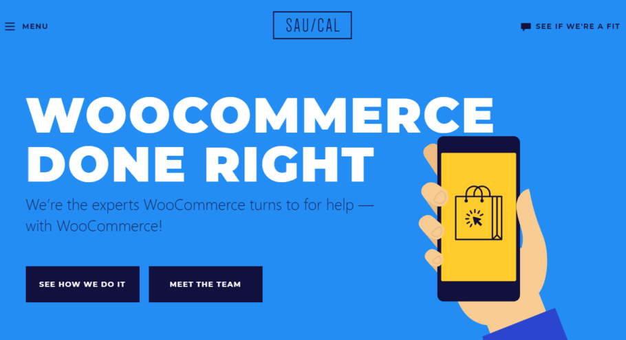 SauCal - WordPress Development Company
